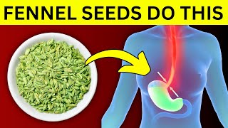 I Ate Fennel Seeds Every Day for a Month Here’s What Happened  Fennel Seed Benefits  HealthQuest [upl. by Aratihc771]