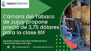 Cámara del Tabaco de Jujuy propone precio de 375 dólares para la clase B1F [upl. by Abehsile]