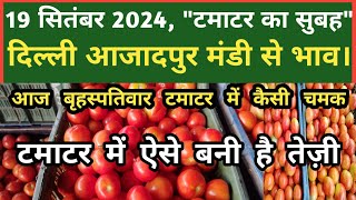 19 सितंबर 2024 टमाटर का भाव Azadpur Delhi Mandi Today delhifruitmarket tomato tomatoes dmttv [upl. by Enirol885]