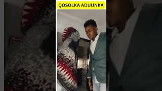 QOSOLKA ADUUNKA QOSOL BADNAA  ILA QOSLAA [upl. by Puto]