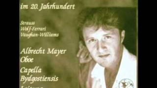 R Vaughan Williams Concert for oboe Albrecht Mayer Oboe 2 [upl. by Merkley]