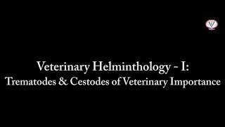 GADVASU 39 Video Tutorial of Practicals in Veterinary Helminthology  I [upl. by Malchus815]