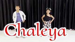 Chaleya Song  Jawan  Pallavi Dance Class Sultanpur [upl. by Ilrebmyk573]