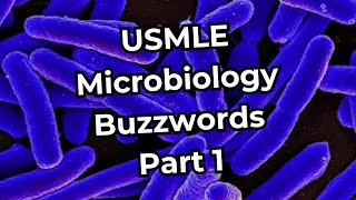 USMLE Step 1 Microbiology Buzzwords Part 1 [upl. by Zel]