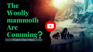 Woolly Mammoths Are Comming  Bringing BackThe Woolly Mammoth 🦣 [upl. by Kaia483]