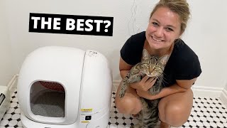 Petkit Pura Max Review The Best SelfCleaning Litter Box [upl. by Goar636]