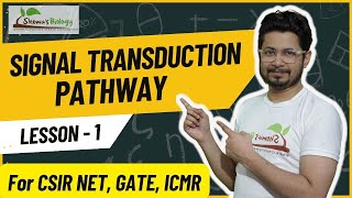 Signal transduction pathway  How signal transduction pathway works [upl. by Fogarty]