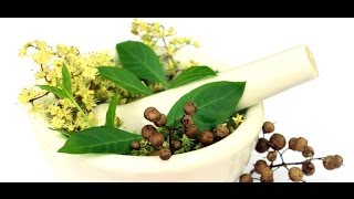 Siddha Treatment for Hair Loss [upl. by Leifer186]