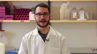 PCR Method Video [upl. by Inalan]