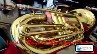 Lorde  Royals Baritone Horn Cover [upl. by Ellerud]