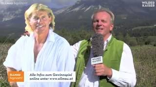 Ellmau News – Aktuelles vom Wilden Kaiser am 26 September 2016 [upl. by Sacci]