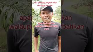 Jgn di skip di akhir vidio ada bonus fypシ゚viral pemanensawit carikmukakangkattelor shortvideo [upl. by Ahsaelat]