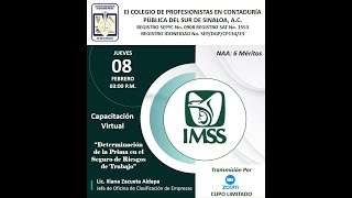 Determinación de la Prima en el Seguro de Riesgos de Trabajo IMSS [upl. by London]