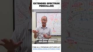 Extended Spectrum Penicillins drnajeeb drnajeeblectures shortvideostatus [upl. by Hara807]