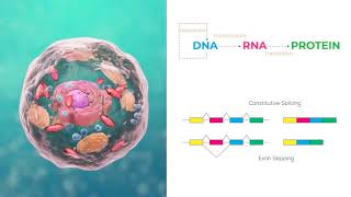 Transcriptomics 1 Introduction to RNASeq bioinformatics analysis of gene and isoform expression [upl. by Ahsinom601]