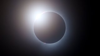 Totality from Solar Eclipse 2024 [upl. by Ansley]