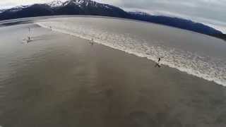 Alaska bore tide surfing [upl. by Eisler550]