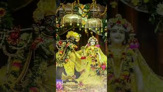 Tum sirf Radha Naam Lopremanand Maharaj ji virelshorts motivation vrindavanpreamsager youtube [upl. by Brine332]