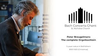 BWV 603  Puer natus in Bethlehem  Peter Breugelmans [upl. by Ronaele]