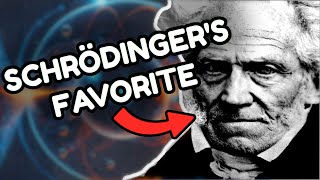 Why Quantum Physicists Love Schopenhauer [upl. by Schulz669]