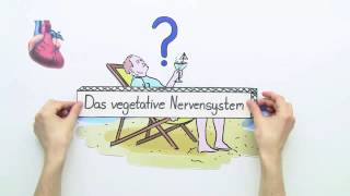 DAS VEGETATIVE NERVENSYSTEM  Biologie  Neurobiologie und Verhalten [upl. by Teyugn]