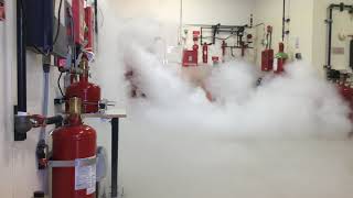 CO2 Fire Suppression System Discharge at Koorsen Training Center [upl. by Epuladaug]