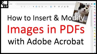 How to Insert and Modify Images in PDFs with Adobe Acrobat [upl. by Kenna523]