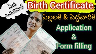 Birth certificate application full details ll బర్త్ సర్టిఫికేట్ అప్లై చేసుకోవడం ఎలా ll Meeseva [upl. by Elleirua]