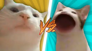 Pop Cat VS Vibing Cat [upl. by Hcra]