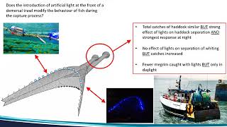 Using Artificial Light to Modify Behaviour of Fish Sam Smith FirstLightFromHome [upl. by Eneirda]