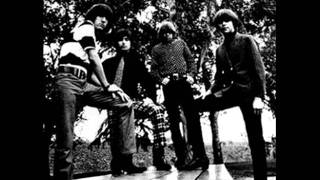 The Standells Hey Joe Where You Gonna Go [upl. by Gnilyam154]