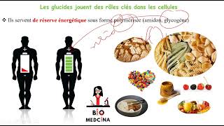 Biochimie CHAPITRE 1 LES GLUCIDES [upl. by Ellennoj]