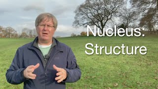 Understanding the Nucleus Structure and Function  Cell Biology Explained [upl. by Roer]