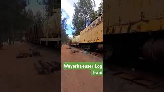 Weyerhaeuser Logging Train logging forestry oregon [upl. by Jarv]