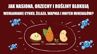 Kwas fitynowy w roślinach — jak blokuje wchłanianie minerałów prowadząc potencjalnie do niedoborów [upl. by Sillaw41]