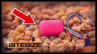 Steve Ringers Favourite Carp Hookbait  Guru Bitesize 055 [upl. by Laband]