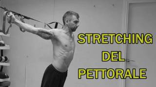 Stretching Parte 14 Pettorali [upl. by Rattan]