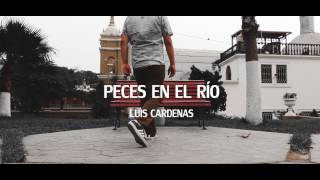 Peces en el Rio Videoclip oficial  Luis Cardenas [upl. by Eelsel483]