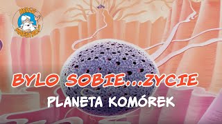 Bylo Sobie Zycie 🌱 Planeta komórek 🧫 [upl. by Kcirdes827]