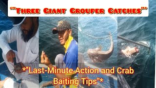 quotThree Giant Grouper Catches LastMinute Action and Crab Baiting Tipsquot [upl. by Oilime]