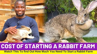 Rabbit Farming Cost Of Starting A Rabbit Farm  Beginners Guide [upl. by Sclater]