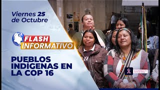 Flash Informativo I Pueblos indígenas en la COP 16 [upl. by Ahsatin]