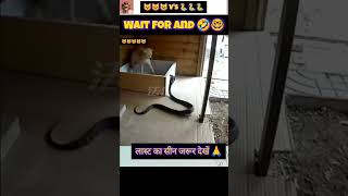 Indal jatav vlogs viralvideo funnyvideos comedyvideos indalshort video [upl. by Philender]