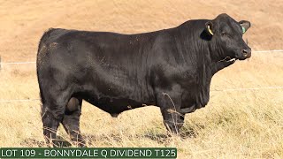 Lot109 Bonnydale Q T125 [upl. by Halivah]