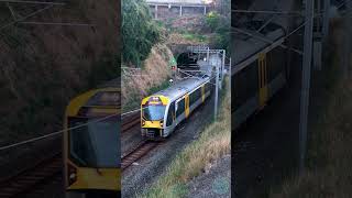 Auckland Transport Metro  Southern Line Train  Parnell Tunnel [upl. by Dailey]