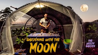 Moon Planting And Gardening Guide  Moon Planting Unlocking the Full Potential of Your Seeds [upl. by Nalid]