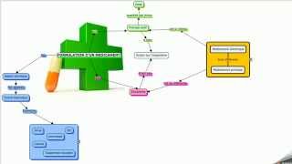 La formulation dun médicament [upl. by Antin944]