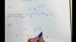 Basic Eyebrow Shape  Homework 1 [upl. by Garey]