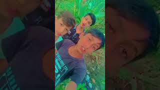 Hindi song niyamat gamer tik tok video hindistories 😞🥺🥺 [upl. by Fusuy]