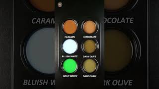 CARAMEN  BLUISH WHITE  LIGHT GREEN   colormixing satisfying mixedcolors DASMixMaster [upl. by Nylg]